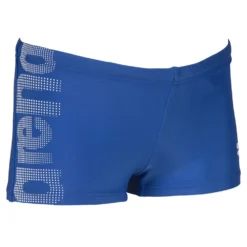 Arena Logo Swim Boxer