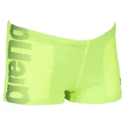 Arena Logo Swim Boxer