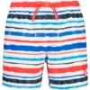 CMP 31R9134 Swimming Shorts