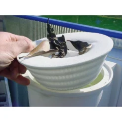 GRE Skimmer Filter 10 Units 5 GRE Skimmer Filter 10 Units -Blue Wave gre skimmer filter 10 units 2