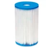 Intex Filter Cartridge