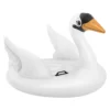 Intex Swan