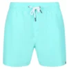 Regatta Mawson II Swimming Shorts
