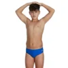 Speedo Logo 6.5cm Swimming Brief